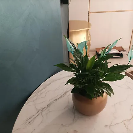 Bed & Breakfast Ars De Mar *
