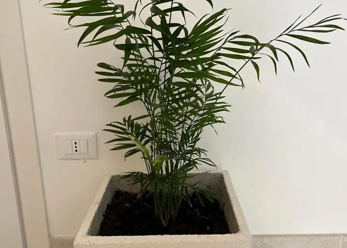 Bed & Breakfast Ars De Mar Martinsicuro