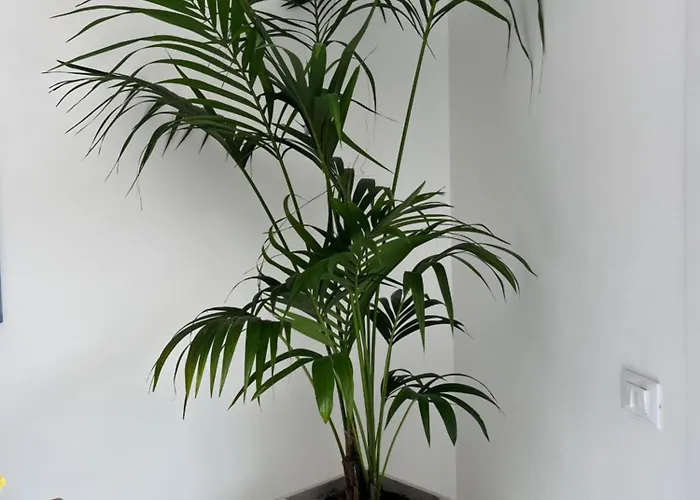 Alojamento de Acomodação e Pequeno-almoço Ars De Mar